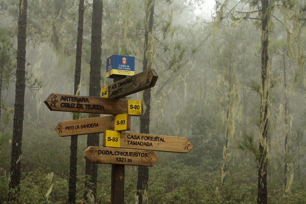 Parque Natural Tamadaba